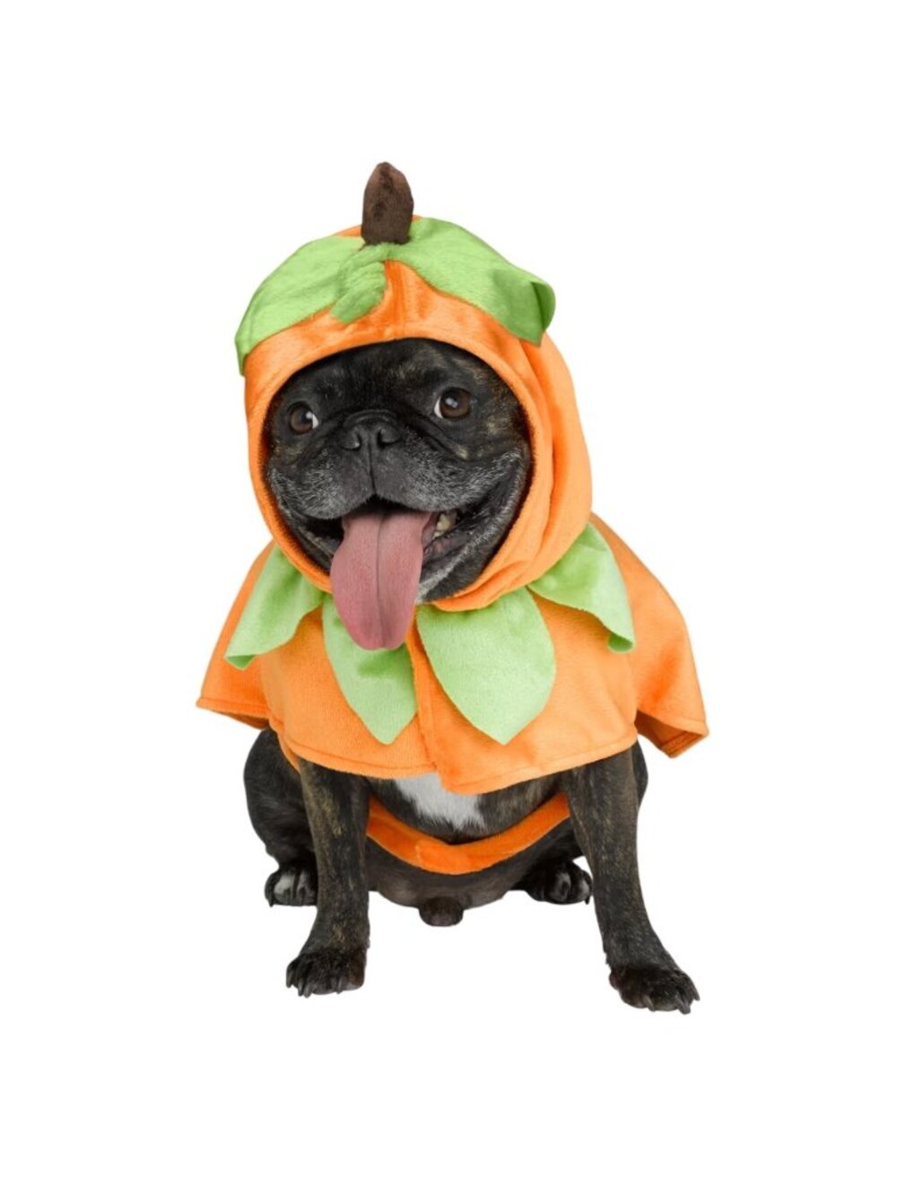Dog Pumpkin Costume XS/TP Orange & Green Machine Washable